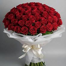 Букет 101 Красная роза Блэк Мэджик в Радуге