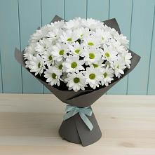 Букет цветов из:  Хризантемы #REPLACE_PRED# Радуге