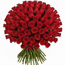 Букет Красные розы Чери Лав в Радуге