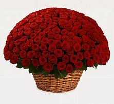 Премиум букет из: Розы в Радуге